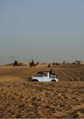 tadoba tour booking